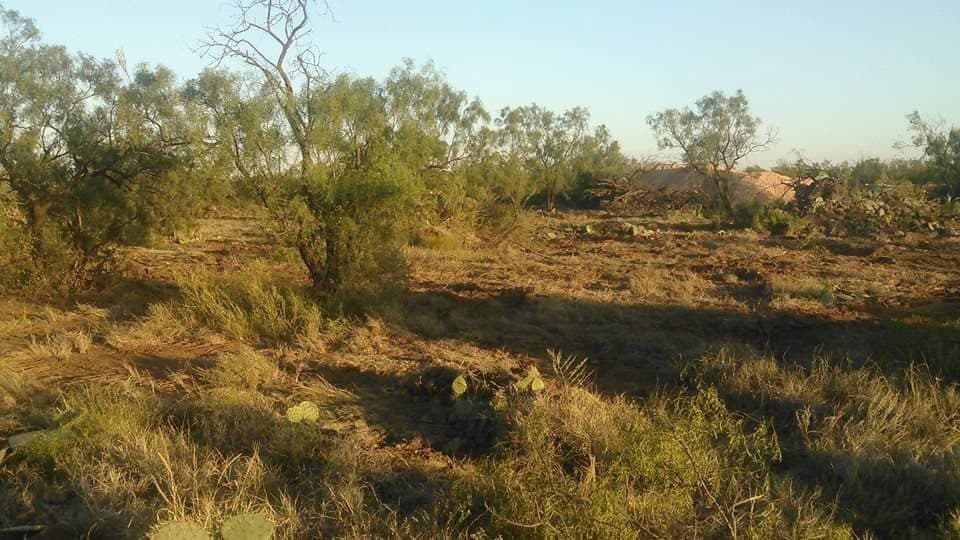 Cleared tract of West Texas land